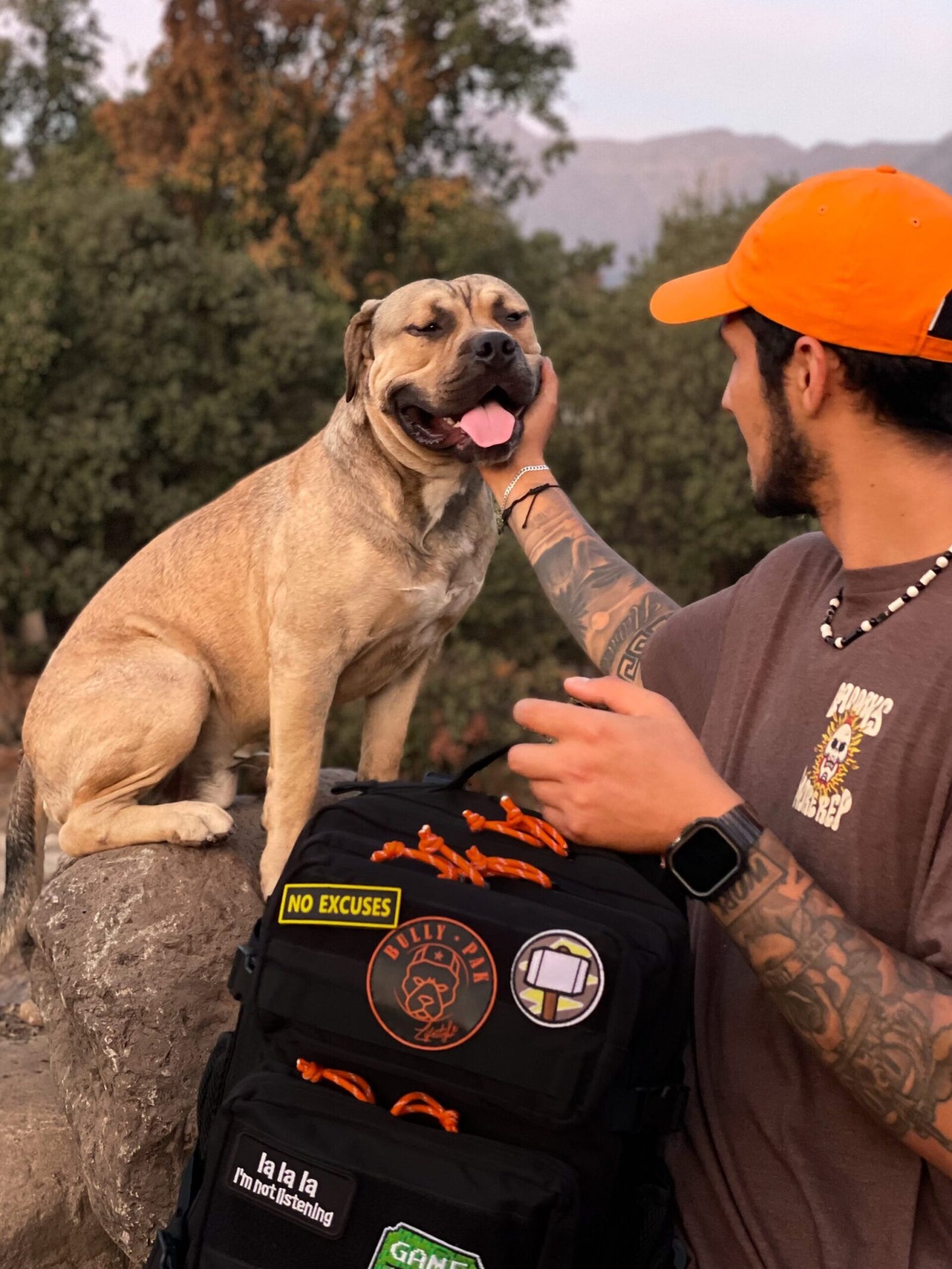 30995dc9-2382-4576-b589-5c7108bef393-2