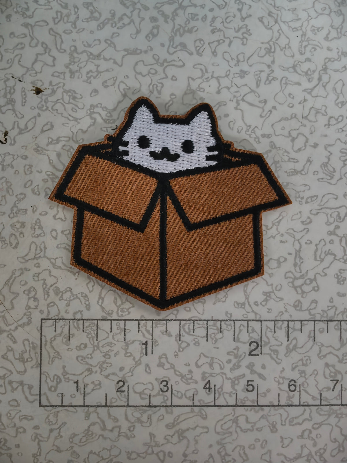 Gato en Basurero Y Caja