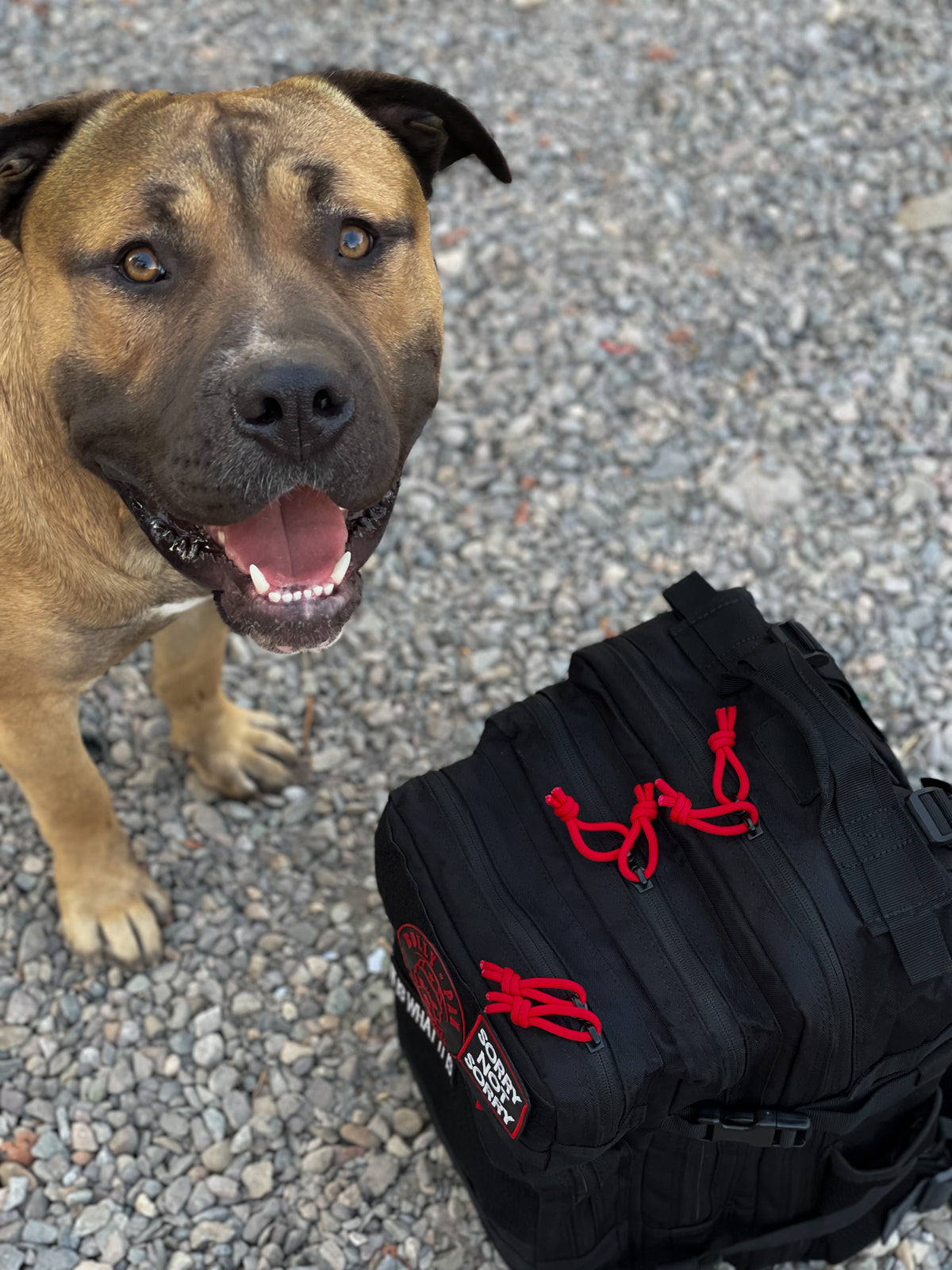 Mochila BULLYpak 35 Litros PRO. Negra lazos rojos