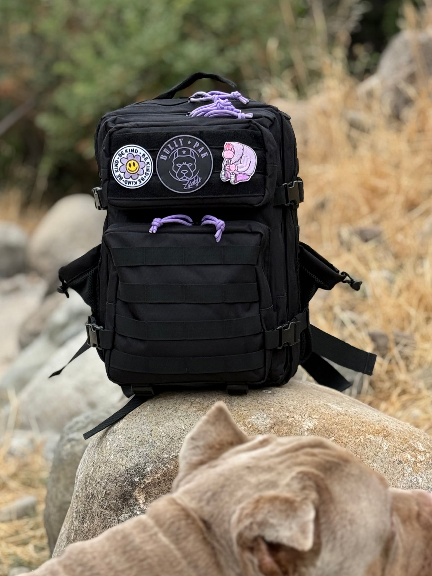 Mochila Bullypak 25 Litros Negra lazos Morados (Calidad Premium)