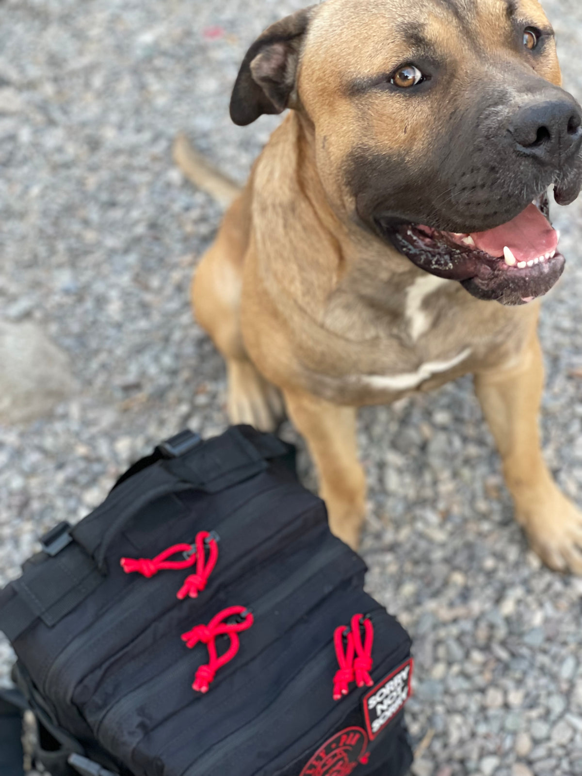 Mochila BULLYpak 35 Litros PRO. Negra lazos rojos