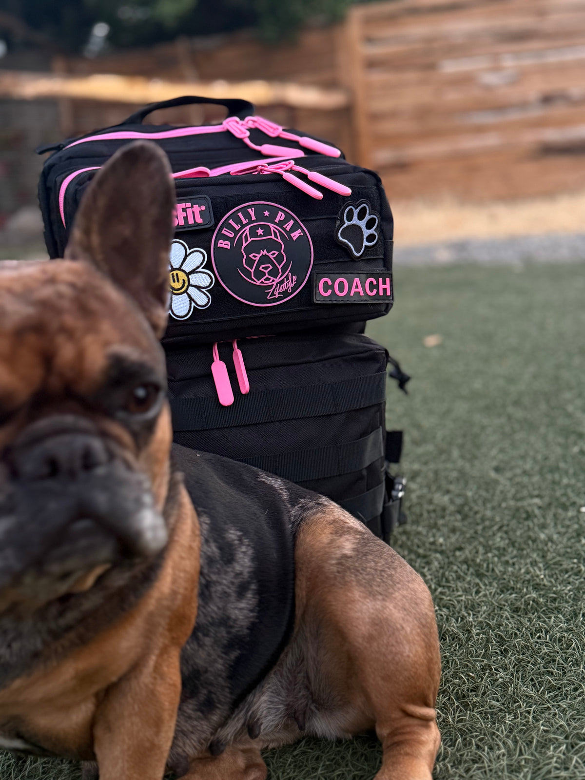 Mochila BULLYpak 35 Litros PRO. Negra cierres Fucisa