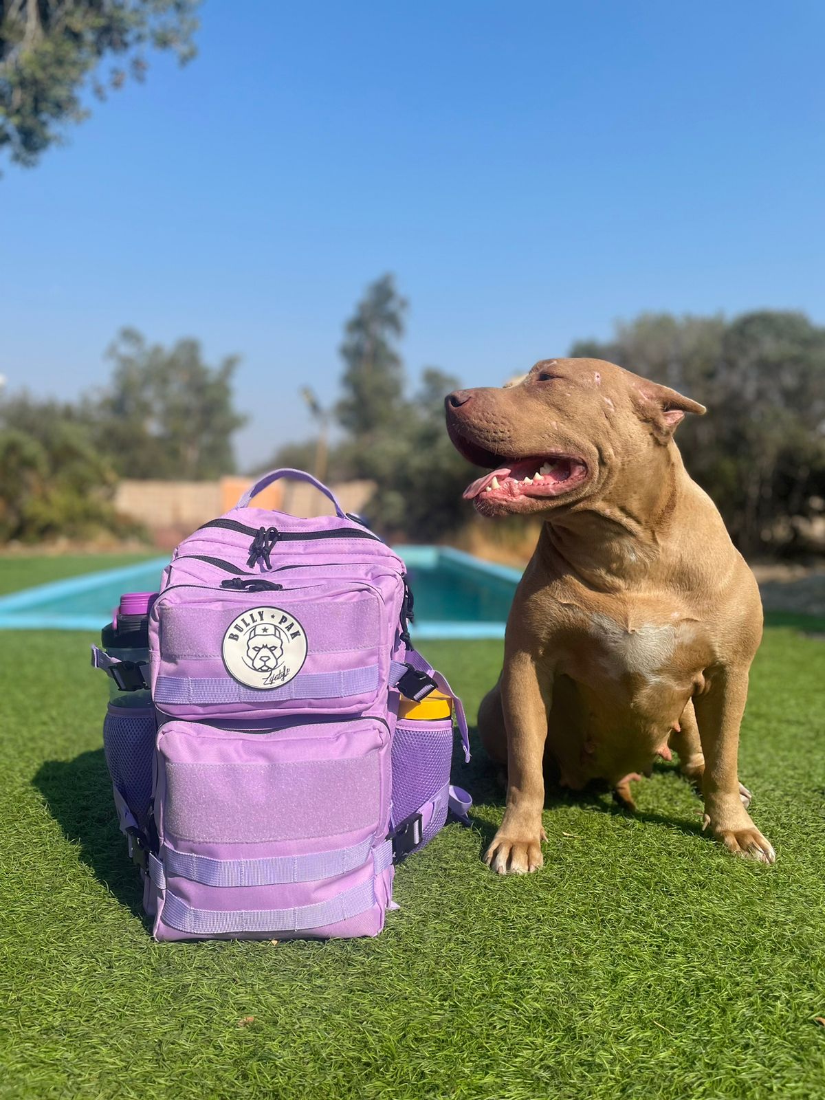 Mochila 25 Litros Morada