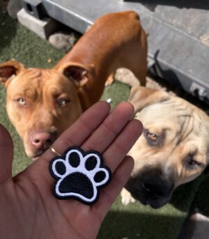 Parche Pata de Perro